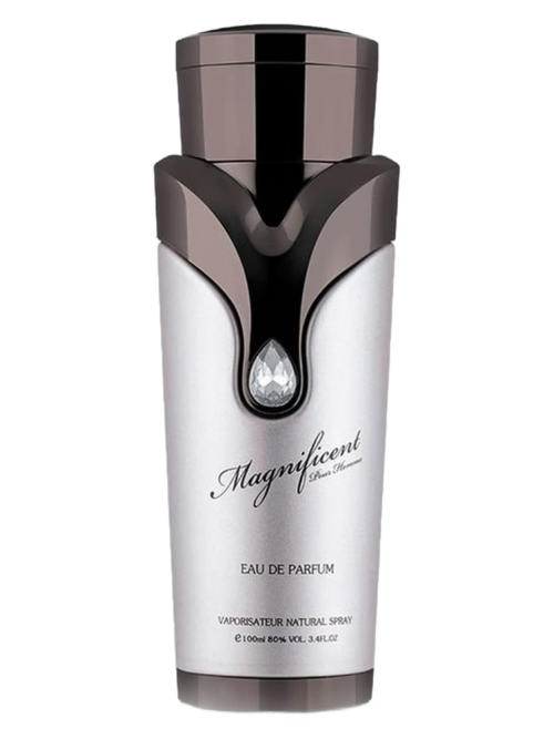 Magnificent Pour Homme