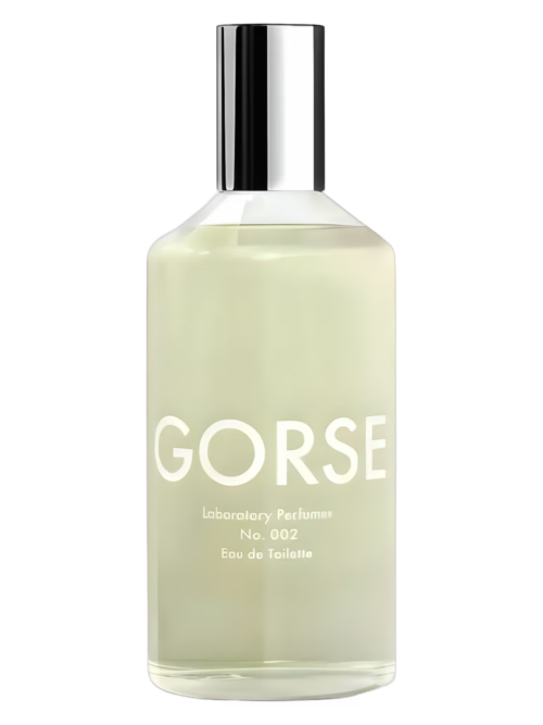Gorse