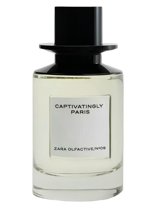 Captivatingly Paris