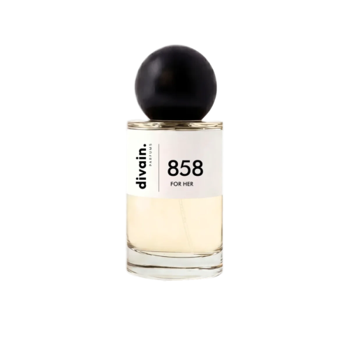 DIVAIN-858
