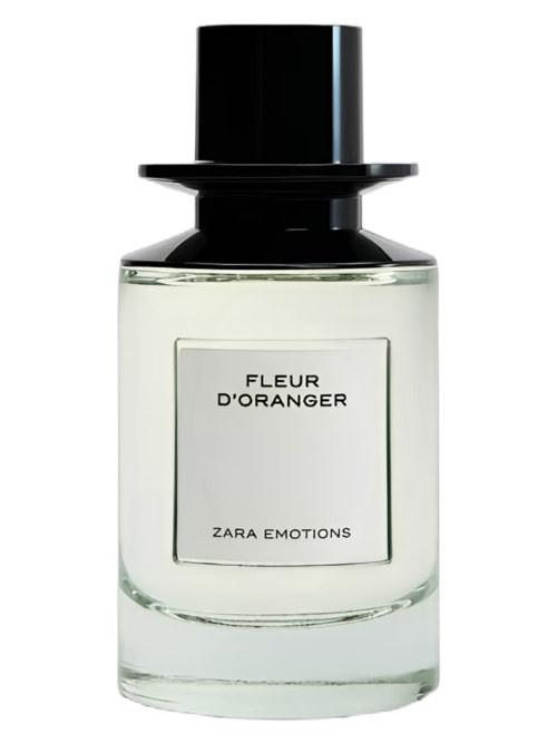 Fragrance