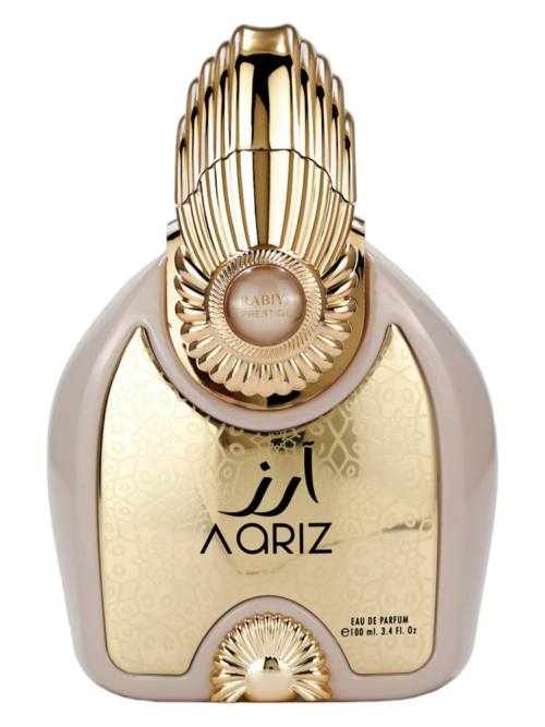 Aariz L'Absolu