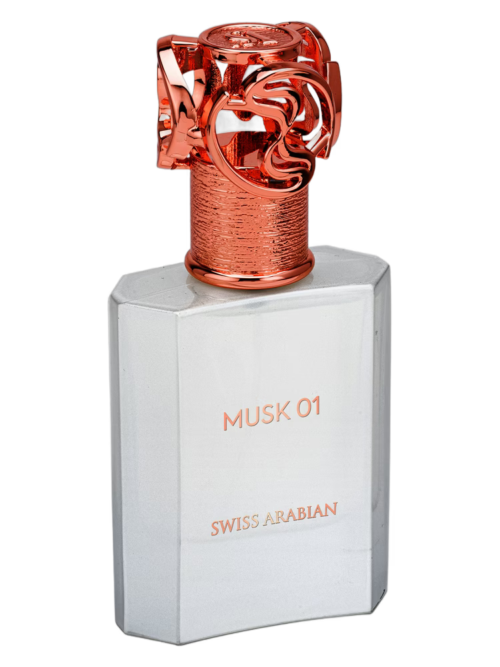 Musk 01