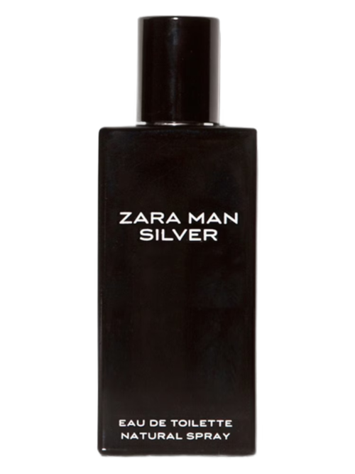 Zara Man Silver