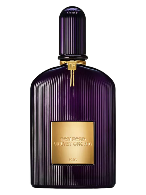 Velvet Orchid