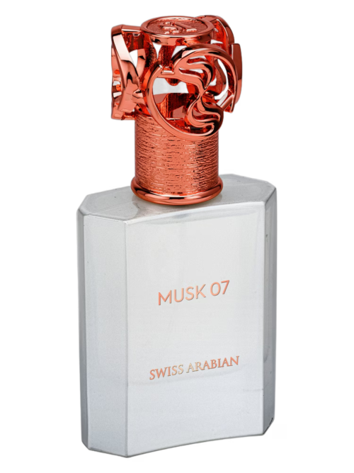 Musk 07