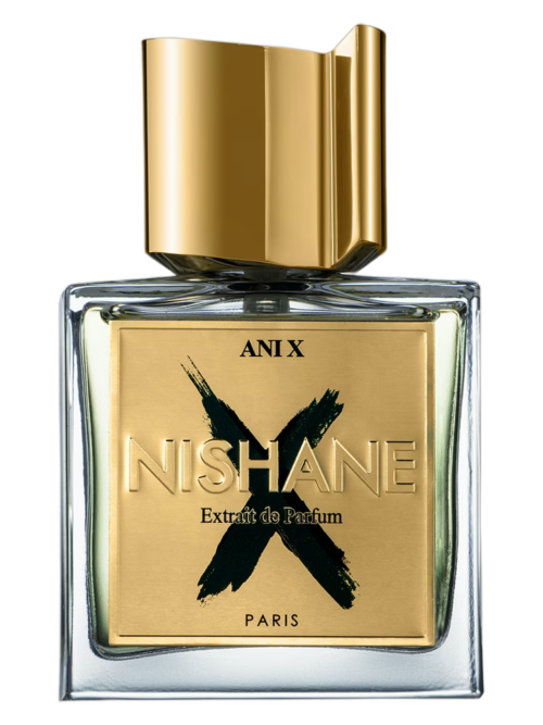 Ani X