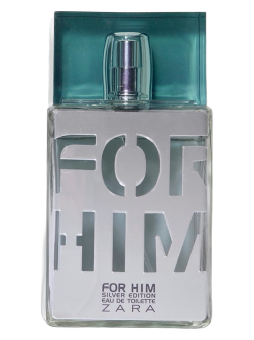 Zara for Him Silver