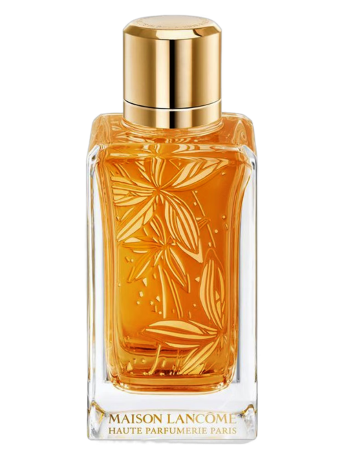 Fragrance